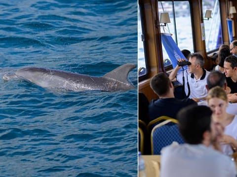 Despite the volume of shipping and straddling Turkey’s largest city, dolphins seem to prefer the strait’s waters to the Black Sea and Sea of Marmara on either side.