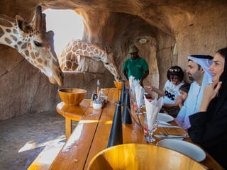 Fancy a breakfast with giraffes, dinner with leopards in the UAE?