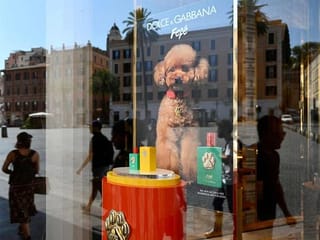 Not to be sniffed at: Dolce & Gabbana launches €99 dog perfume