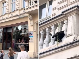 Pet dog plays fetch with strangers from the balcony