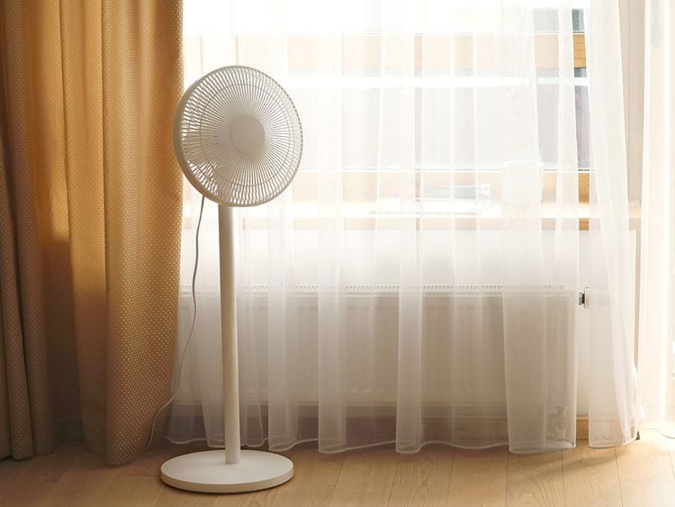 pedestal fan