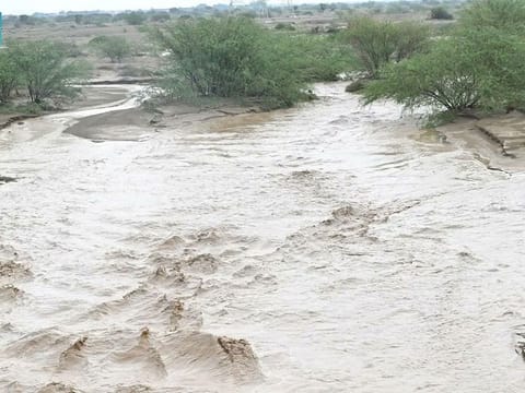 The National Meteorological Centre said the significance of the rainfall indicates changing climatic conditions within the kingdom and globally. 