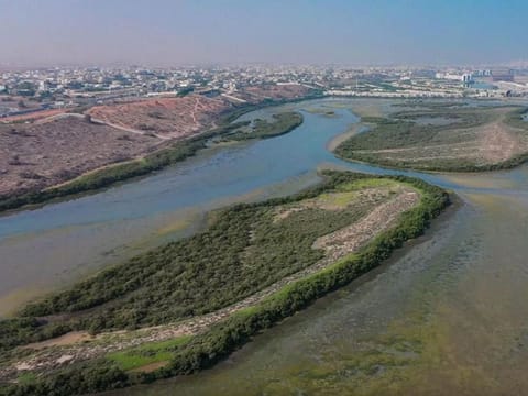 A range of vital initiatives are being implemnted within the Khor Al-Muzahmi reserve in Ras Al Khaimah, including programmes aimed at rehabilitating natural habitats and protecting species. 