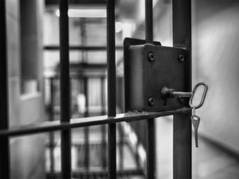 The arrests were made during an extensive inspection campaign in the Dhofar Governorate, conducted between June 21 and September 21, 2024.