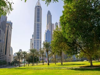  Why spring still feels like winter in the UAE