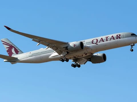 Qatar Airways apologised "for any inconvenience or distress this incident may have caused"