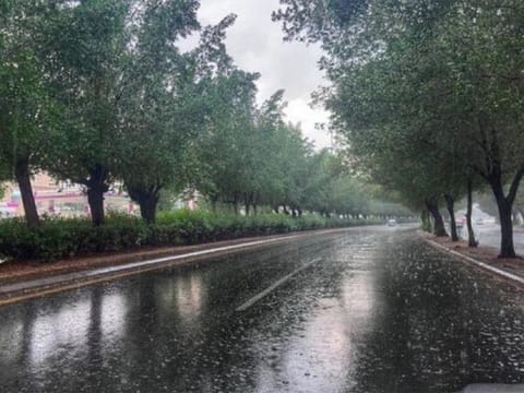 Large parts of Saudi Arabia will experience rain this week.