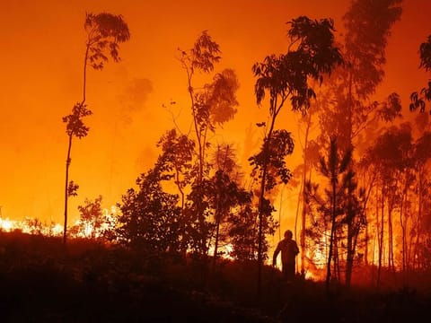 Fire fighters tackle a wildfire in Agueda, in the Aveiro region of Portugal, on Tuesday, Sept. 17, 2024.  