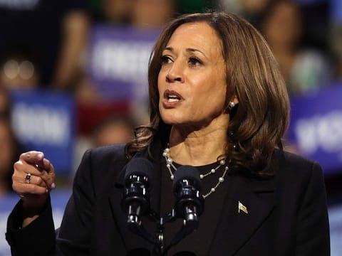 Democratic presidential nominee, Vice President Kamala Harris speaks during a campaign rally at Erie Insurance Arena on October 14, 2024 in Erie, Pennsylvania.