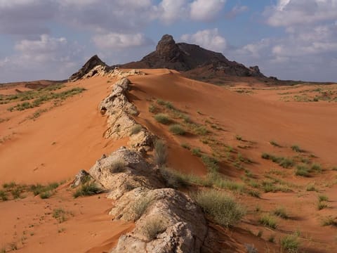 The Mleiha National Park is set to offer a range of exceptional facilities that highlight its unique blend of history, luxury, and adventure.