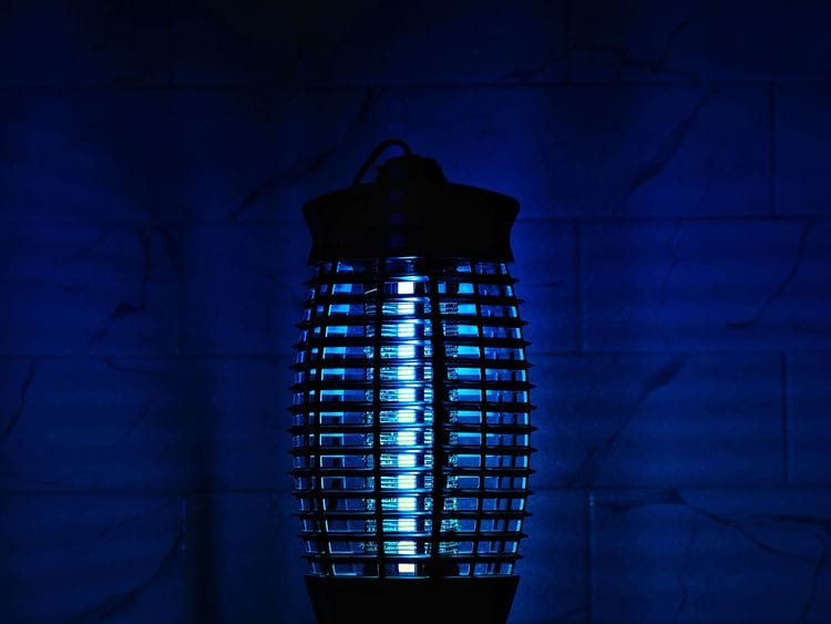 Mosquito zapper