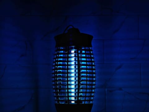 From electric bug zappers to eco-friendly, solar-powered traps, these solutions will keep your outdoor space mosquito-free. 