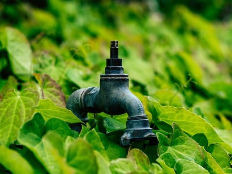 Nearly 3 billion people and more than half of the world's food production are now in areas where total water storage is projected to decline.