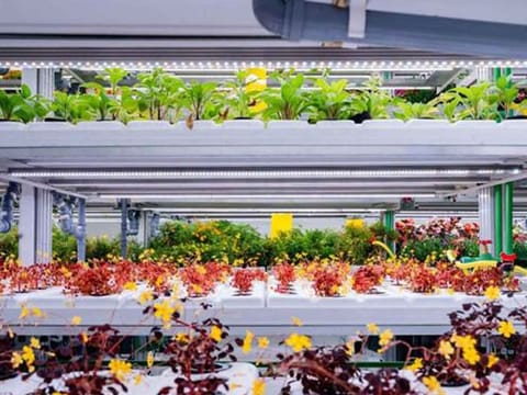 Future Food Foundry makes significant investment in Greeneration to transform UAE good production