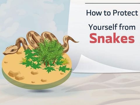 The Municipality has a dedicated team for handling snake sightings and other wildlife concerns