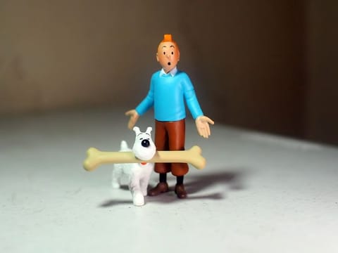 A collection of rare Tintin comic albums is up for auction in Paris.