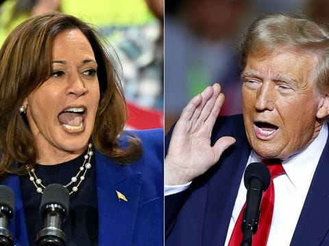 US Vice President Kamala Harris and President-elect Donald Trump.