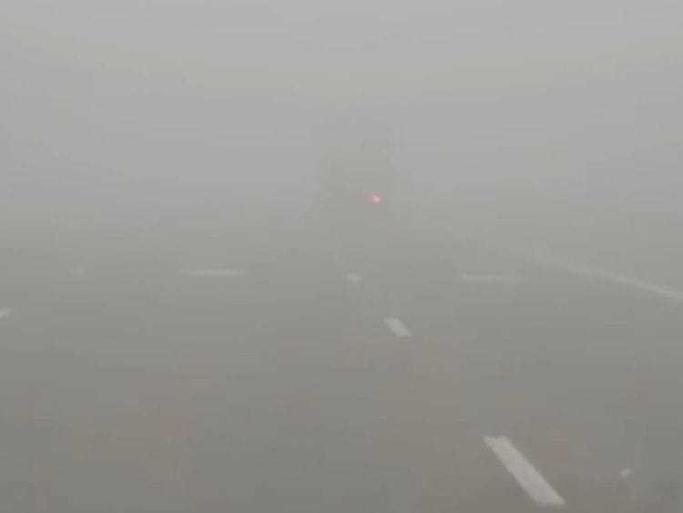 UAE weather fog