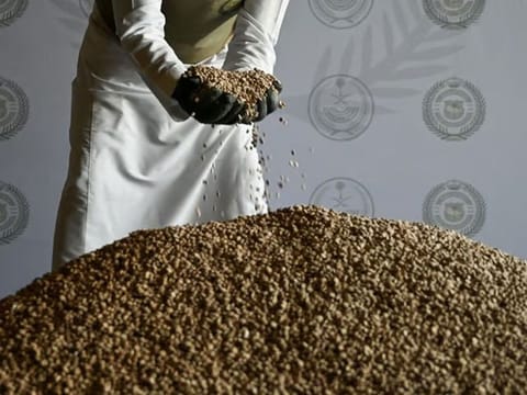 Saudi Arabia has intensified its crackdown on narcotics smugglers and traffickers in what is dubbed the “war on drugs”, recently reporting a series of aborted attempts. 