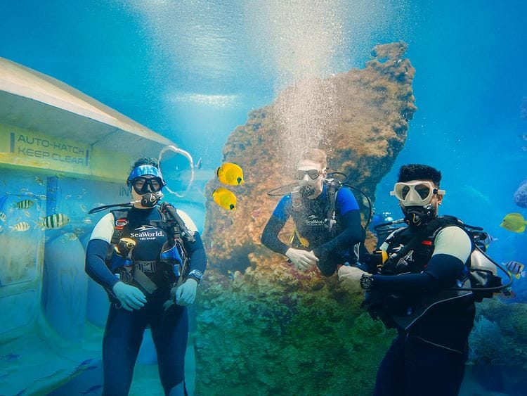 Scuba Diving at SeaWorld Abu Dhabi