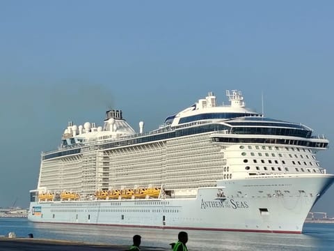 187 cruise ships docked at Port Rashid and Dubai Harbour so far this year