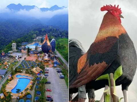 Who says chickens can’t soar? Standing tall at 35 metres, "Manok ni Cano" is the crowning jewel of Campuestohan Highland Resort in Negros Occidental.
