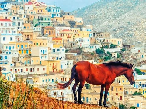 The Olympos valley in Karpathos, Greece, offers plenty of opportunities to go off the beaten path 
