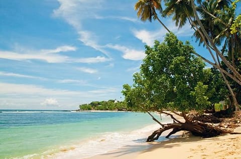 Sri Lanka.  