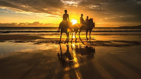 A tropical retreat at a resort on the island of Sumba, Indonesia, offers workshops on abdominal, deep belly and yogic breathing 