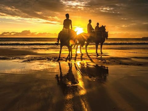 A tropical retreat at a resort on the island of Sumba, Indonesia, offers workshops on abdominal, deep belly and yogic breathing 