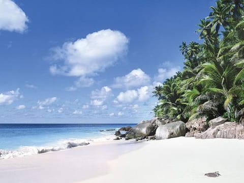 Alamy