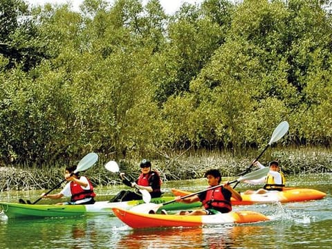 There are daily guided kayaking trips through the protected area 
