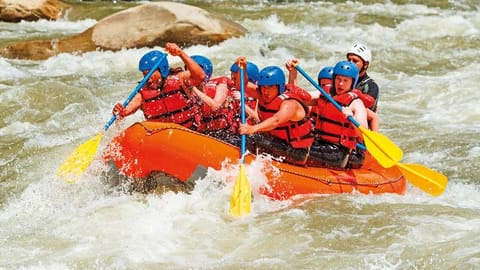 From Brazil to Zambia, there is an exciting water activity waiting to be explored 