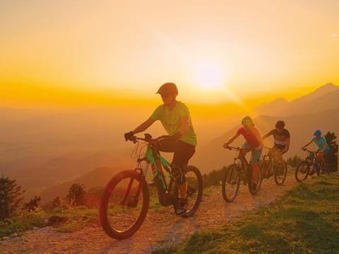 With tourists crowding Lake Bled during the summer months, a bicycle holiday helps avoid the traffic queues 