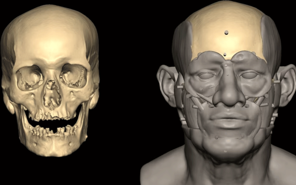 DNA decoded: 4,800-year-old ancient Egyptian reveals new secrets