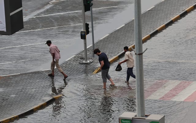 UAE Weather Alert: Closures, Transport Disruptions & Remote Work Updates