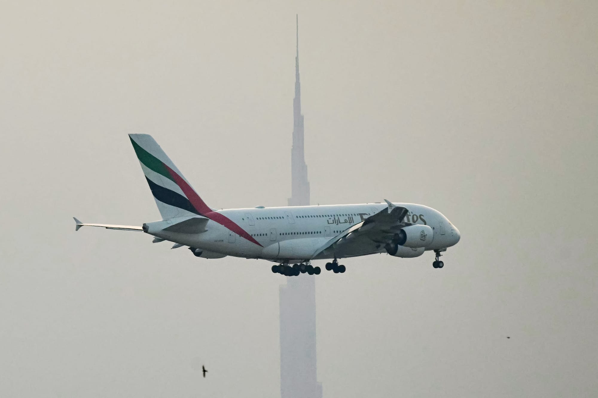 Emiratesairline 2026