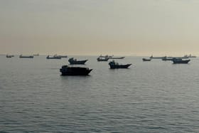 Indian Sailors Freed in Iran; Strait of Hormuz Disruptions Threaten Supplement Ingredient Supply