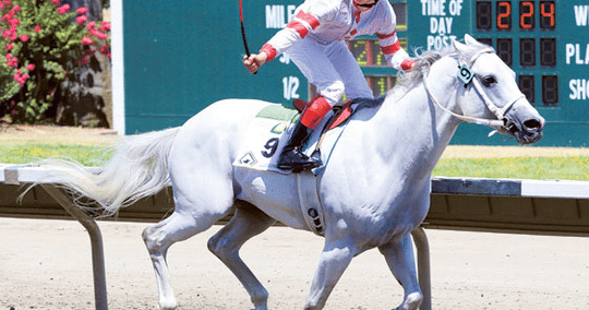 Sammy V breaks track record at Sacramento