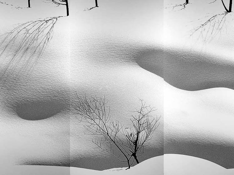 A tribute to Abbas Kiarostami