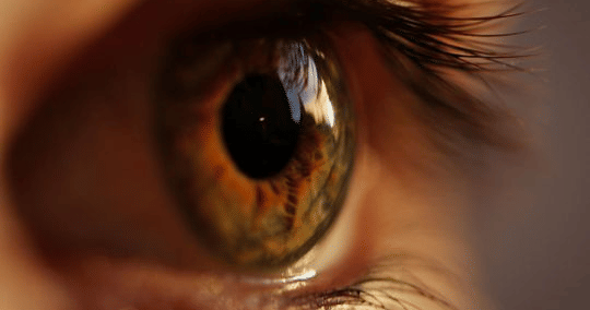 Bahrain's Investcorp sells stake in India's second biggest eye-care ...
