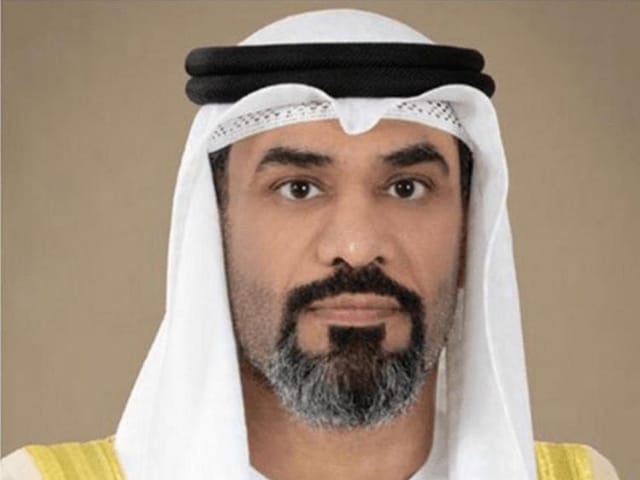 UAE President appoints head of Supreme Audit Institution