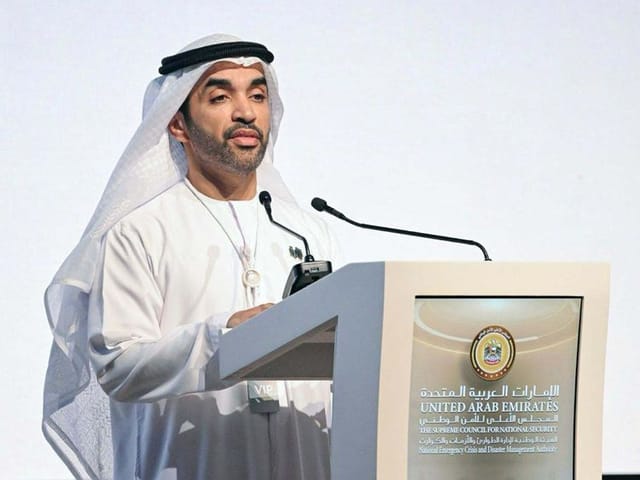 UAE launches new Risk Management Platform to help users tackle challenges